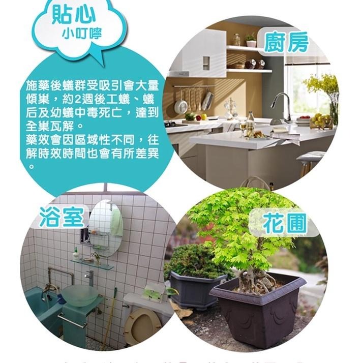 易護家 🏠 奧除 新奧除 殺蟻餌膏80g 新奧除驅蟻餌膏 螞蟻藥 螞蟻餌膏 殺螞蟻 除蟻餌膠-細節圖2