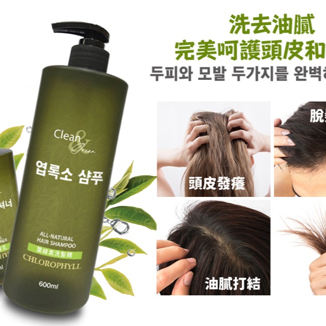 📣附發票【Clean】涼感🧊葉綠素洗髮精500ML十葉綠素護髮乳200ML 🚿洗護組合-細節圖3