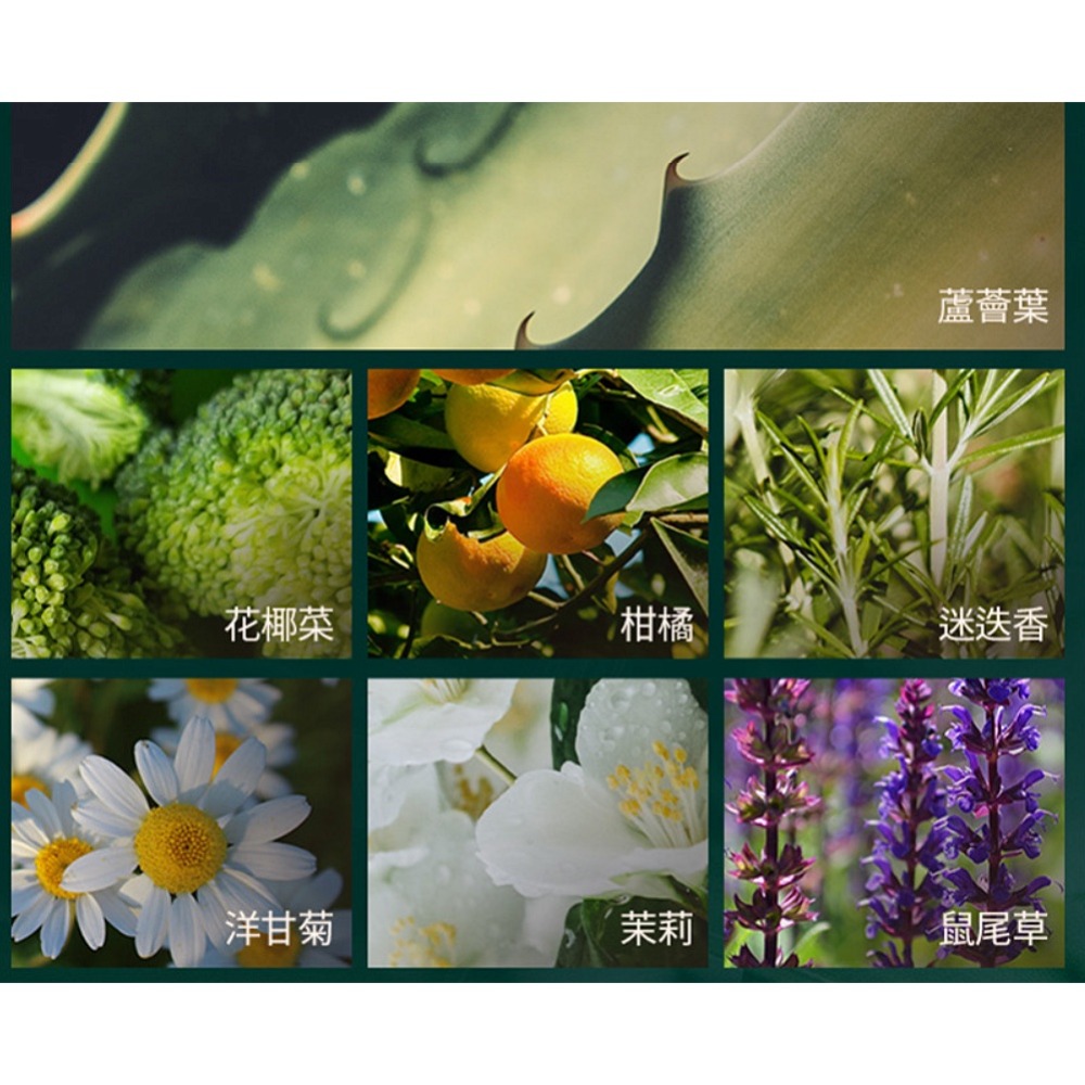 🎁粉色麋鹿🦌📣附發票【MUMCHIT 默契】 車用擴香瓶 擴香 植物萃取擴香 車用擴香 擴香瓶 80MLx２-細節圖6