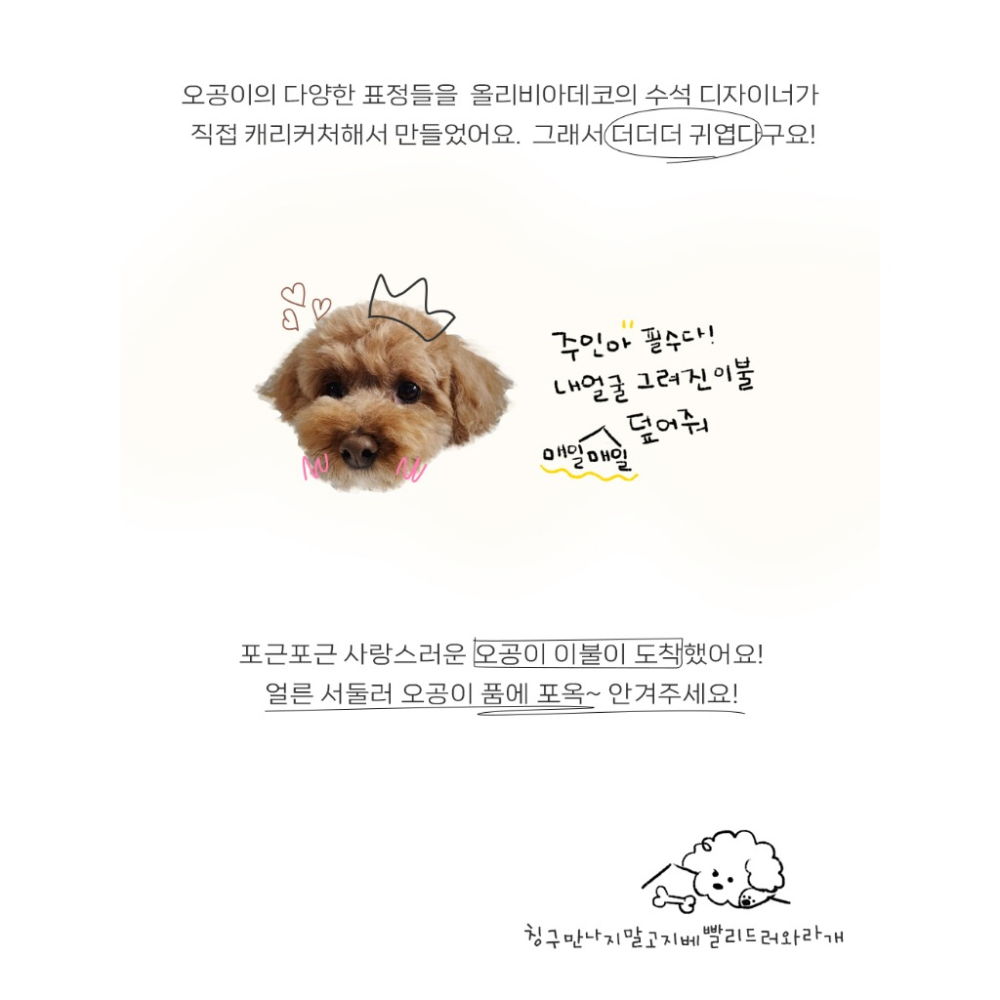 韓國 OLIVIA DECO 狗狗四季被 150*200 標準雙人 棉被 被子 韓國被子-細節圖5