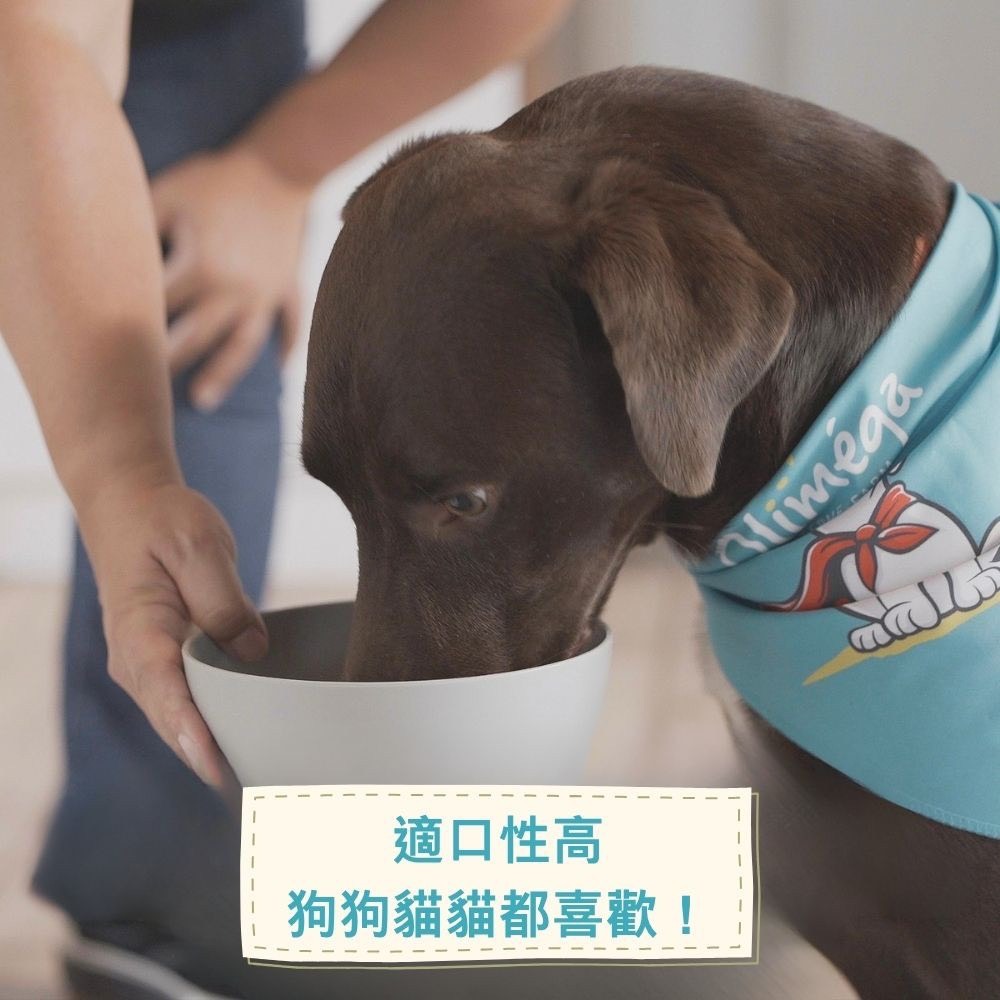 現貨-Olimega Farm 加拿大Omega-3寵物補給冷壓薺藍籽油500mL 寵物保健 寵物補充 寵物油 關節照護-細節圖4