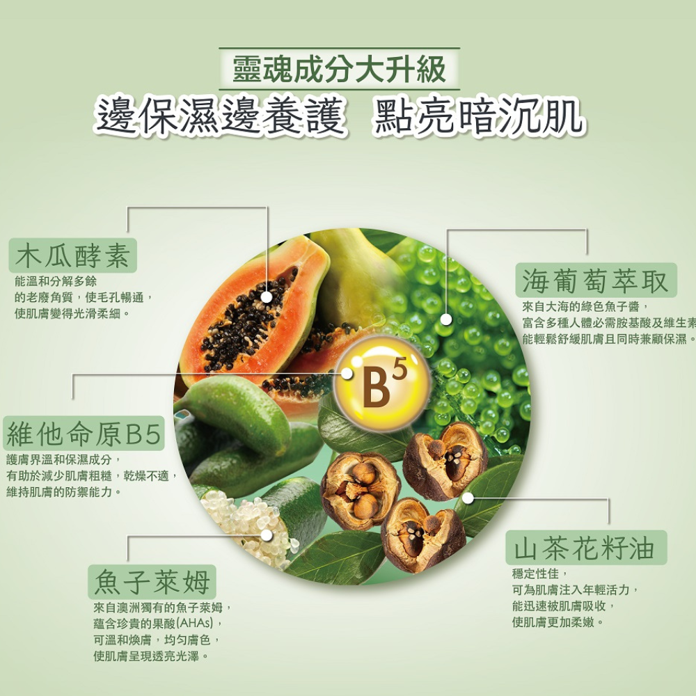 海葡萄極光乳霜 10ML 迅速點靚你的美肌光采  抗老、提亮、養護 DEWAKE 朵悅-細節圖8