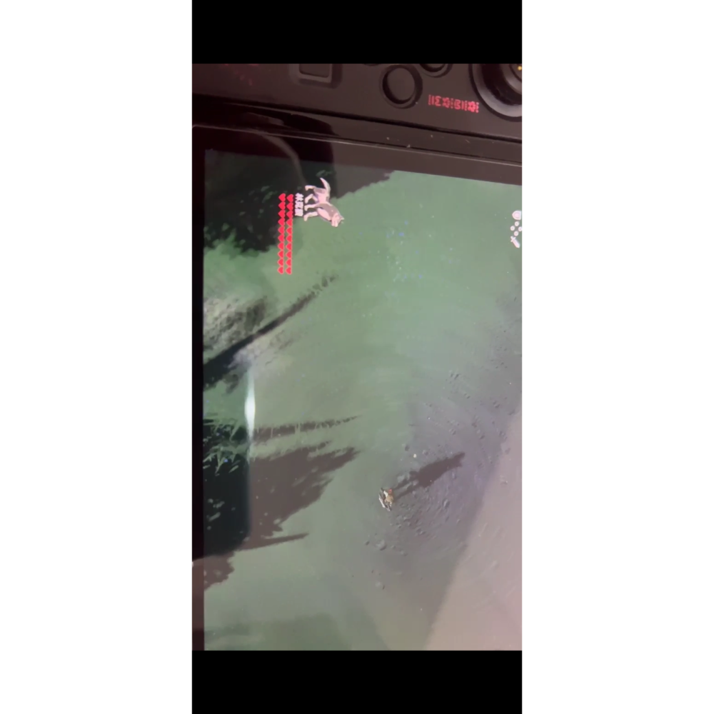 任天堂Switch 薩爾達傳說 荒野之息 20心狼林克 全新未拆封-細節圖2