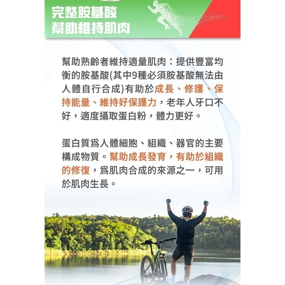 【麗馥生醫】鐵馬蛋白(豌豆蛋白) 250g-細節圖6