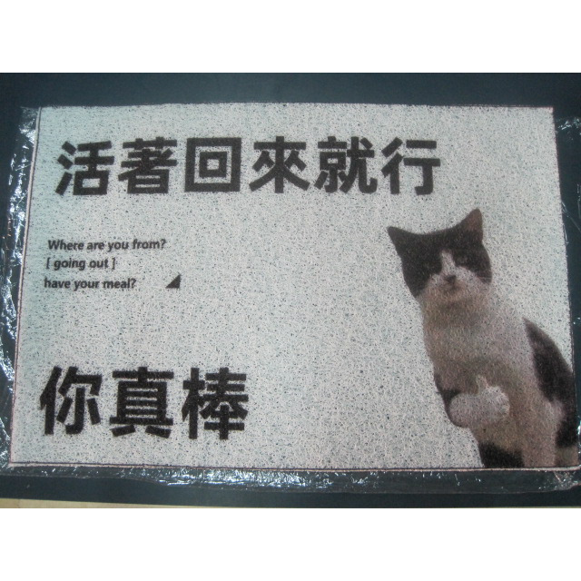 活著回來就行 繁體中文字 絲圈地墊 玄關地墊 搞笑貓咪進門地墊 除塵地毯 穿鞋腳踏墊 門墊 入戶墊 刮泥地墊 寵物地墊-細節圖3