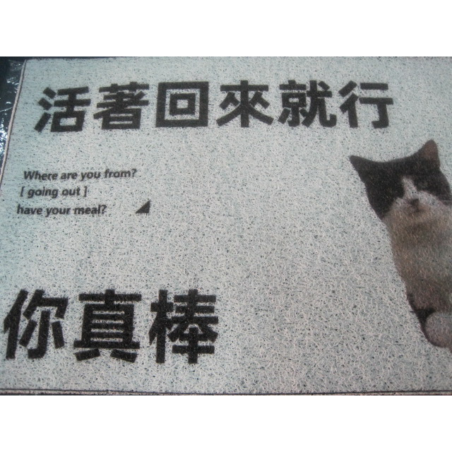 活著回來就行 繁體中文字 絲圈地墊 玄關地墊 搞笑貓咪進門地墊 除塵地毯 穿鞋腳踏墊 門墊 入戶墊 刮泥地墊 寵物地墊-細節圖11