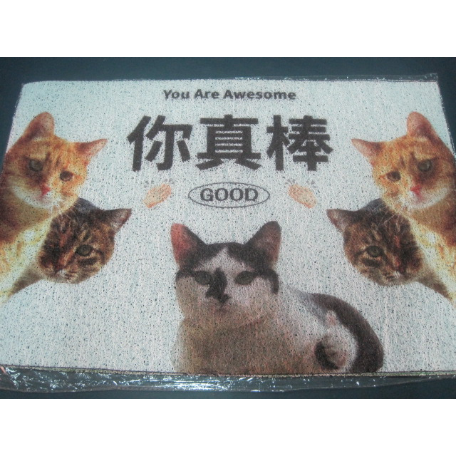 你真棒 創意文字地墊 搞笑貓咪 絲圈地墊 玄關地墊 穿鞋腳踏墊 門口地墊 入戶門墊 刮泥刮沙地墊 寵物線圈地墊 裝飾地毯-細節圖2