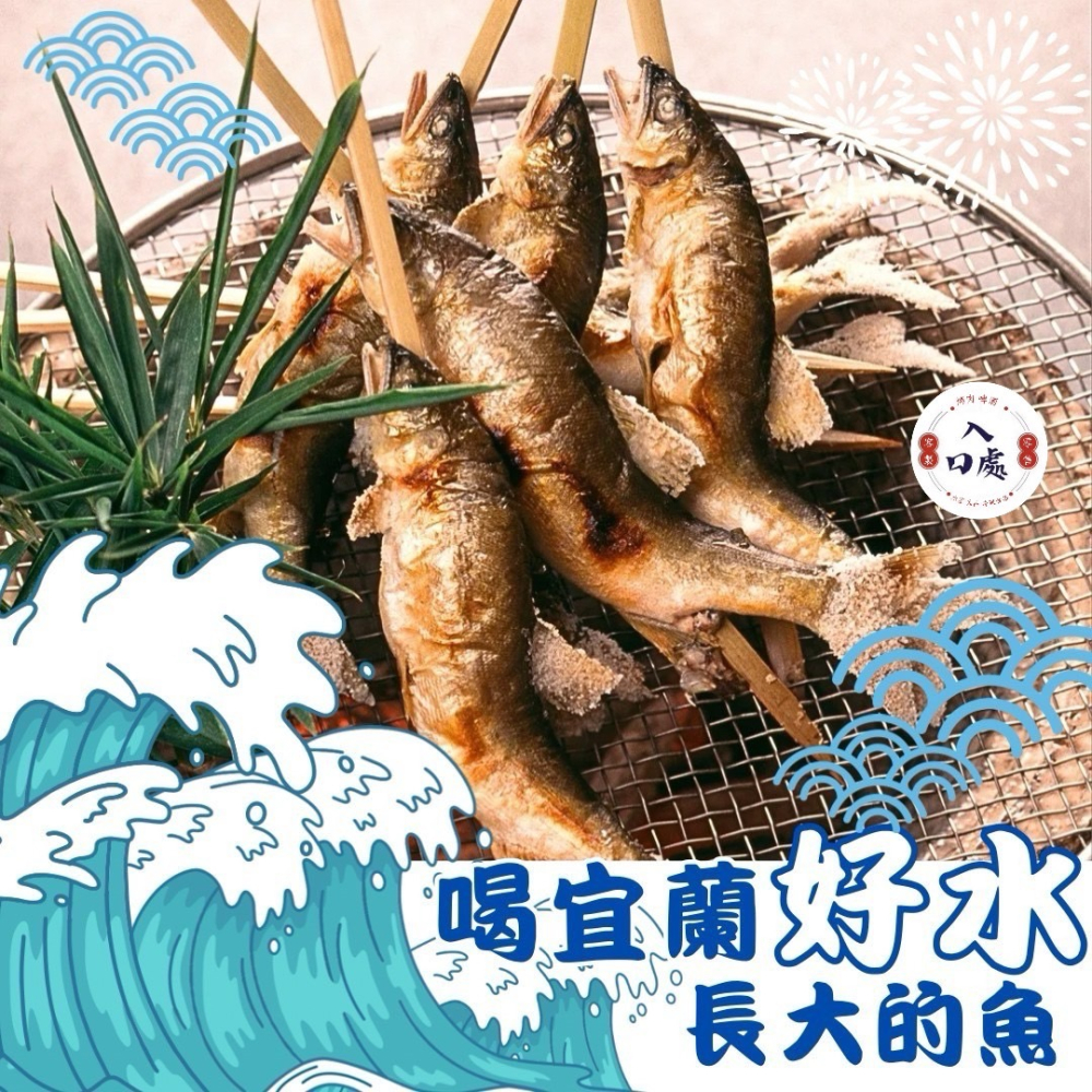 🐟宜蘭山泉小香魚（公母混）🐟-細節圖2