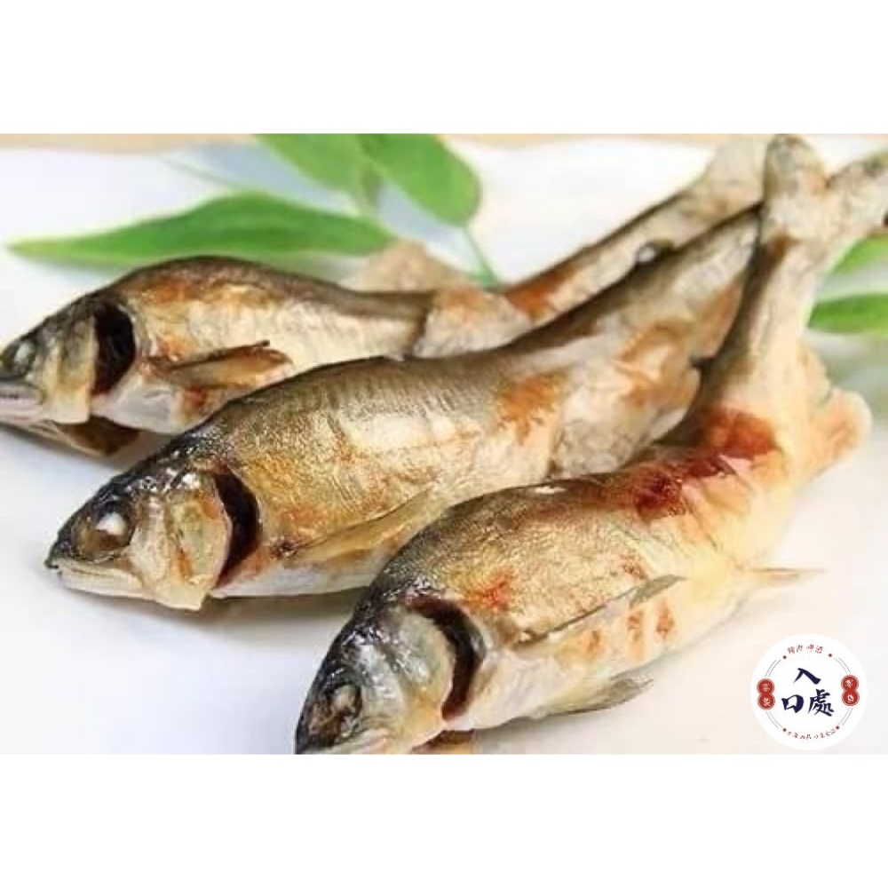 🐟宜蘭山泉小香魚（公母混）🐟-細節圖3