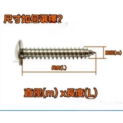 🇹🇼現貨~24H出貨✪金師父✪白鐵大扁頭十字鐵板牙 徑5/32*長3/8~2＂ 不銹鋼螺絲 木工螺絲-細節圖2