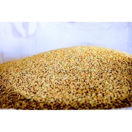 進士米_高雄145號-白米（2公斤）【日本米鑑定-優秀賞-劉凱涵的米】-細節圖8