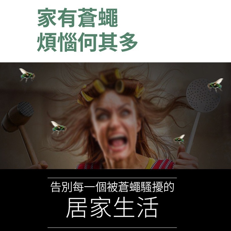 黏蠅板 蒼蠅貼 黏蠅紙 捕蠅 蒼蠅 黏蟲紙 黏蟲板 捕蠅器 果蠅 黏蠅 小蟲子-細節圖2