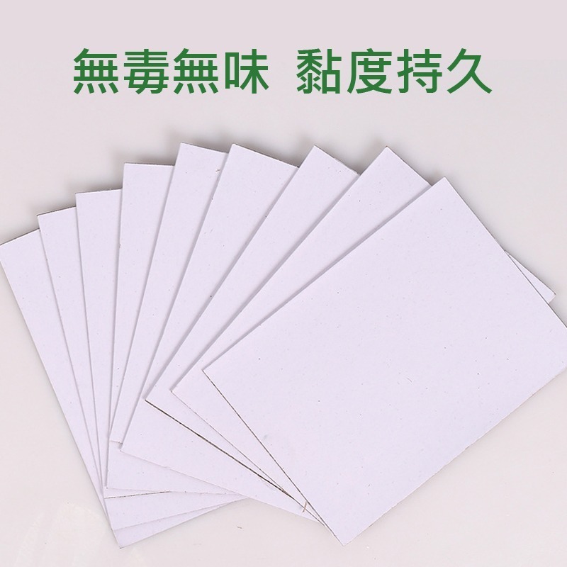 黏蠅板 蒼蠅貼 黏蠅紙 捕蠅 蒼蠅 黏蟲紙 黏蟲板 捕蠅器 果蠅 黏蠅 小蟲子-細節圖4