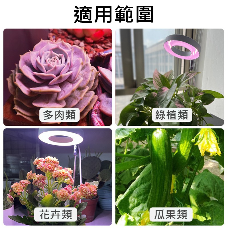 植物生長燈 天使環植物燈 植物生長燈 植物日照燈 植物燈管 多肉燈 補光燈 夾燈 燈管 盆栽-細節圖2