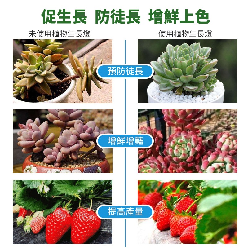 植物生長燈 天使環植物燈 植物生長燈 植物日照燈 植物燈管 多肉燈 補光燈 夾燈 燈管 盆栽-細節圖3