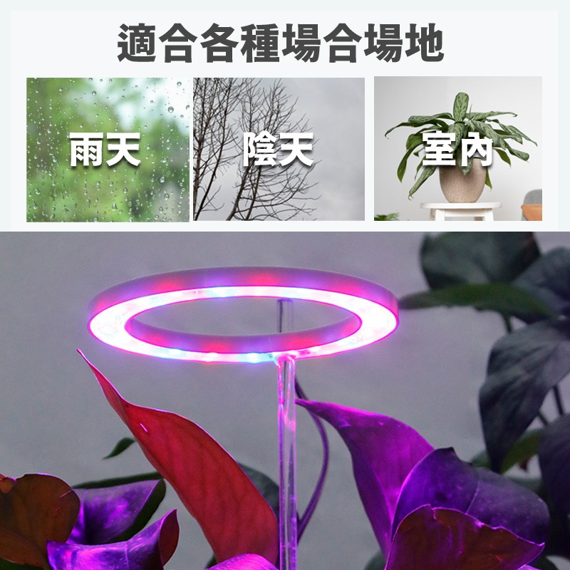 植物生長燈 天使環植物燈 植物生長燈 植物日照燈 植物燈管 多肉燈 補光燈 夾燈 燈管 盆栽-細節圖4