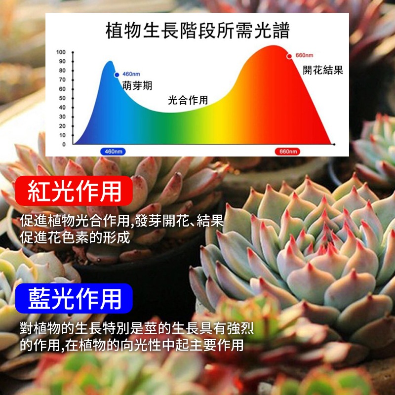 植物燈  led植物生長燈  USB led植物生長燈 花卉 水草燈 多肉植物燈 紅藍燈 補光燈-細節圖4