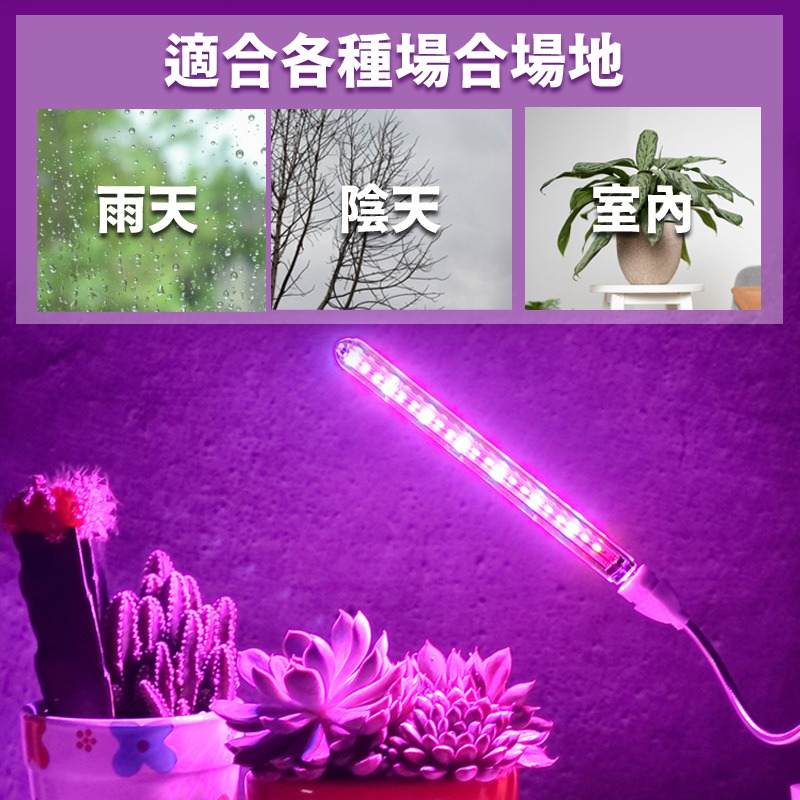 植物燈  led植物生長燈  USB led植物生長燈 花卉 水草燈 多肉植物燈 紅藍燈 補光燈-細節圖5