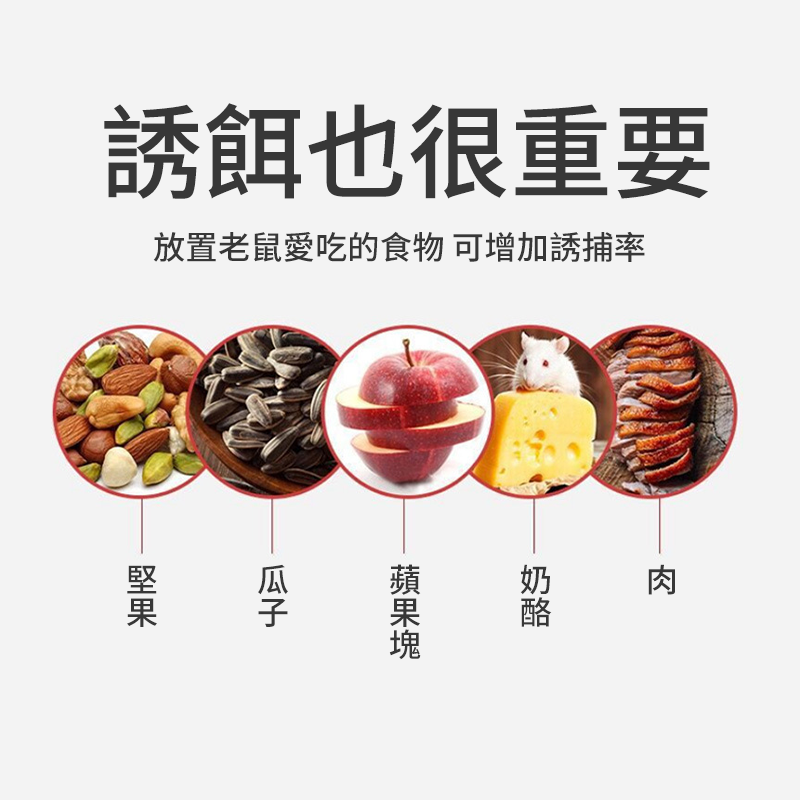 自動捕鼠器 捕鼠器 捕鼠 抓老鼠神器 抓老鼠 捕鼠神器 捕鼠籠 補鼠籠 老鼠 抓鼠神器 捕鼠夾-細節圖5