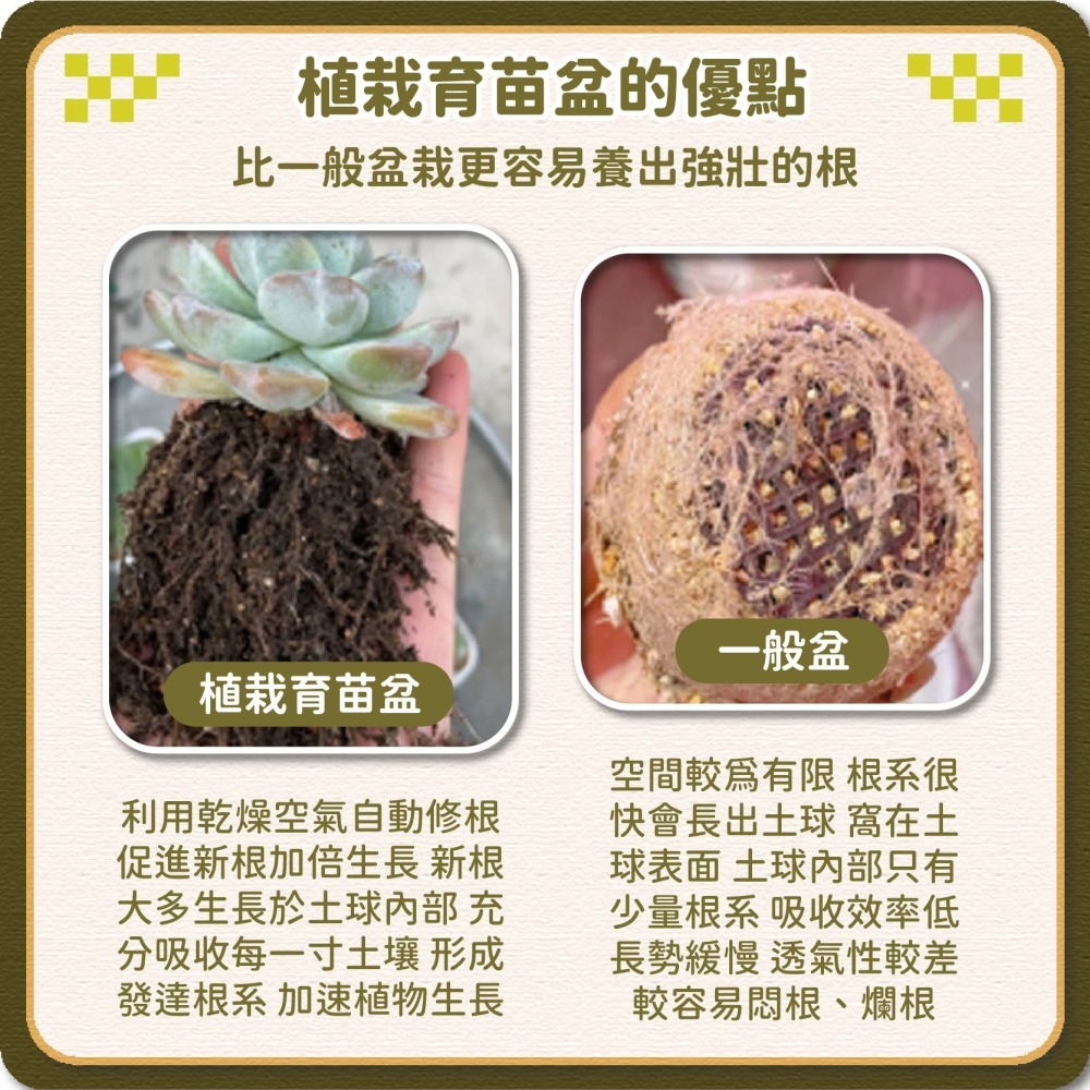 植栽 小方盆 育苗盆 四方盆 盆器 透氣盆 方盆 栽培盆 花盆 多肉盆栽 多肉盒 仙人掌花盆 透氣盆-細節圖3