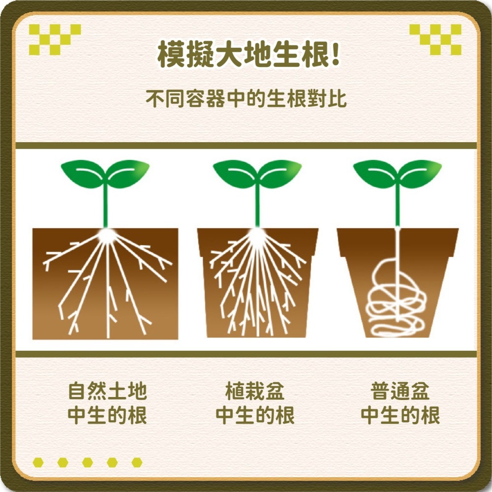 植栽 小方盆 育苗盆 四方盆 盆器 透氣盆 方盆 栽培盆 花盆 多肉盆栽 多肉盒 仙人掌花盆 透氣盆-細節圖4