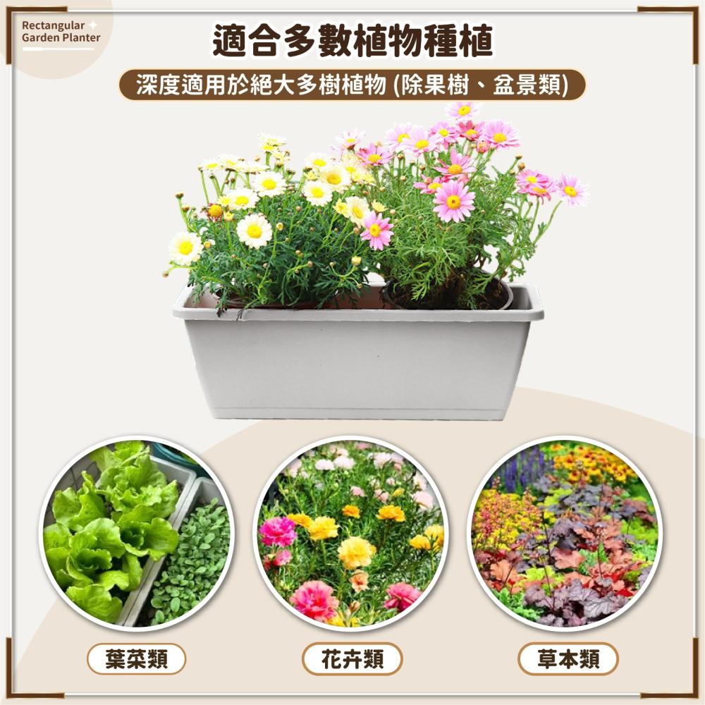 長形花盆 盆托一體 長方形花盆 長形盆 花盆種菜盆 盆栽容器 控根盆 菜盆 花槽 植物花盆 霍倫盆-細節圖4