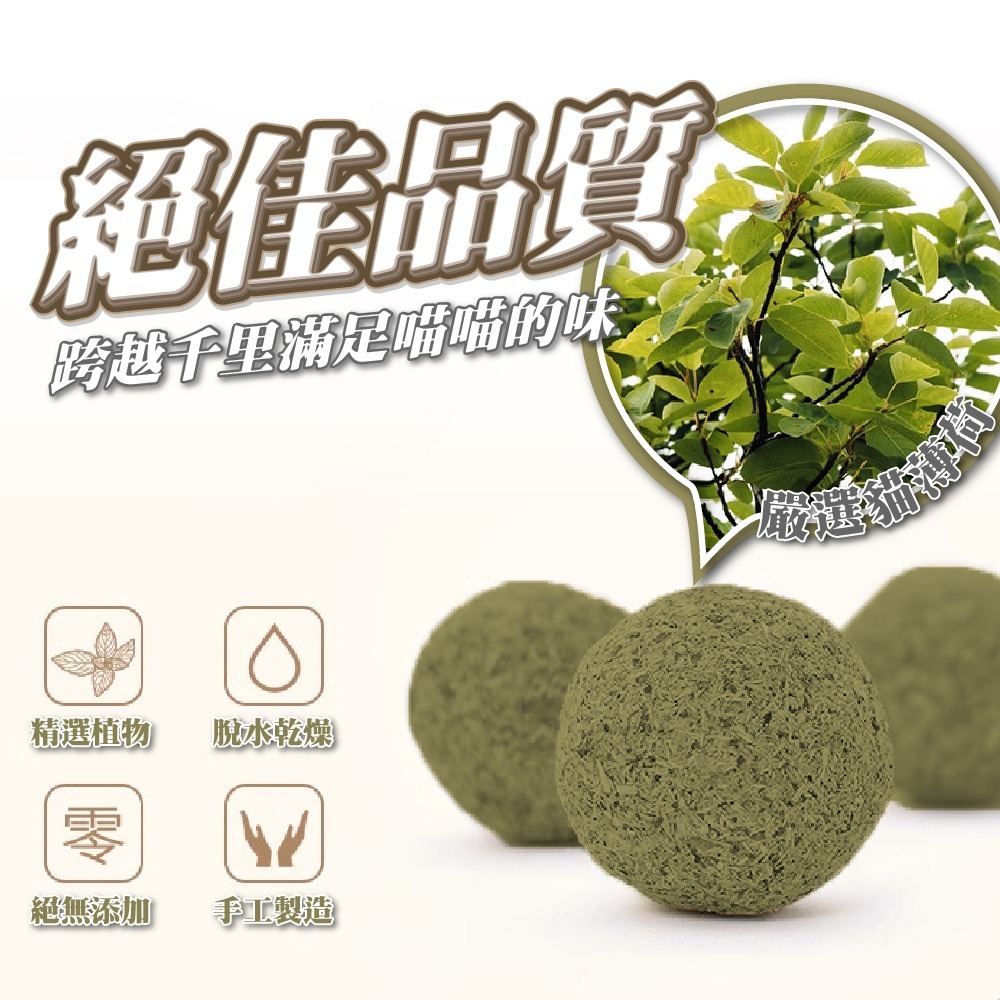 【貓草棒】現貨 貓咪磨牙潔牙棒棒糖 木天蓼 磨牙玩具蟲瘿果 棒棒糖 貓掌 貓頭 陶醉-細節圖3