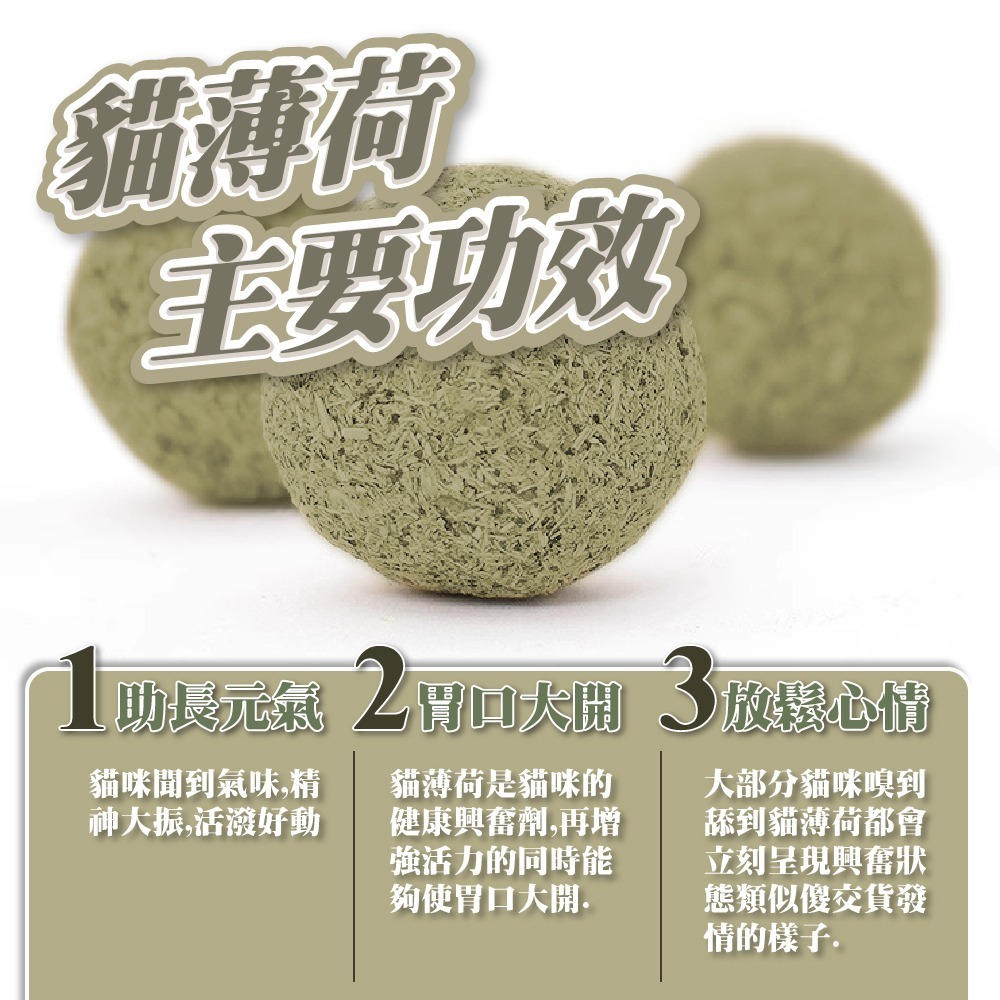 【貓草棒】現貨 貓咪磨牙潔牙棒棒糖 木天蓼 磨牙玩具蟲瘿果 棒棒糖 貓掌 貓頭 陶醉-細節圖5