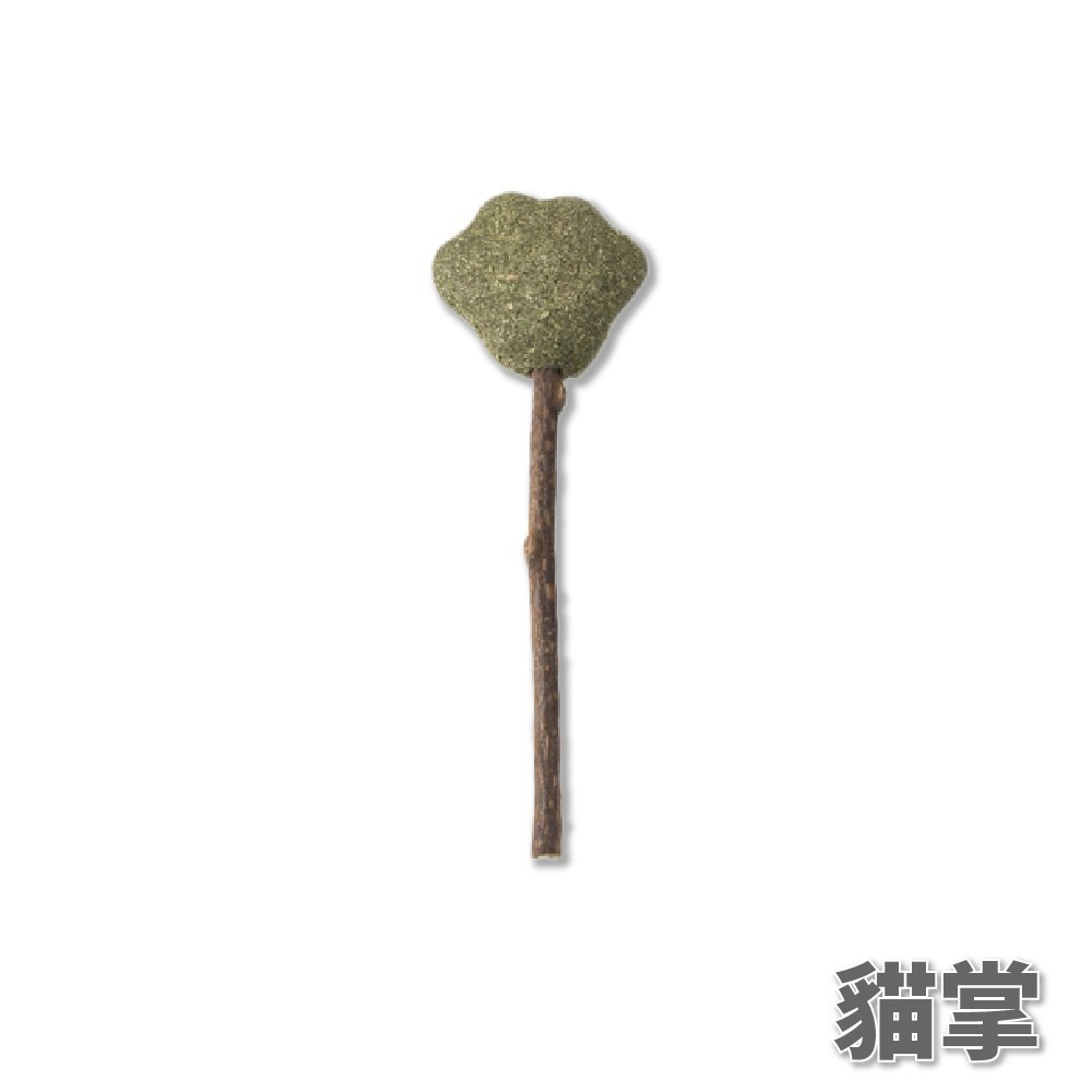 【貓草棒】現貨 貓咪磨牙潔牙棒棒糖 木天蓼 磨牙玩具蟲瘿果 棒棒糖 貓掌 貓頭 陶醉-細節圖9