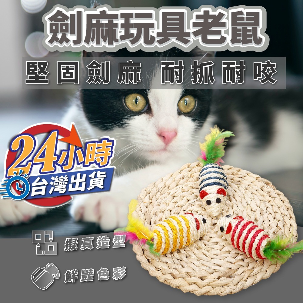 【劍麻球】現貨 貓咪玩具 絨毛羽毛劍麻球 老鼠 薄荷 糖果 解壓 鈴噹 運動 舒壓 舔毛-細節圖3