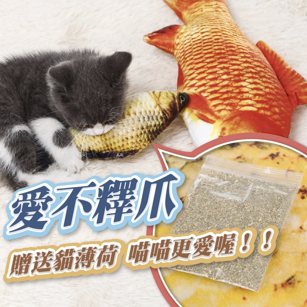 【仿真魚】現貨 仿真魚絨毛玩偶 解悶 放鬆 運動 啃咬 陪伴 貓薄荷 玩具-細節圖3