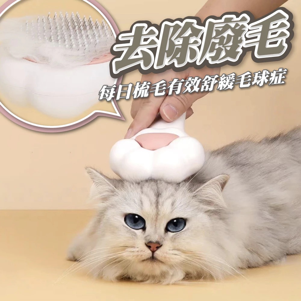 【一鍵除毛梳】現貨 貓掌梳 寵物按摩一鍵除毛梳 梳毛 寵物梳毛 貓 狗按摩梳除毛針梳 狗梳 貓梳-細節圖4