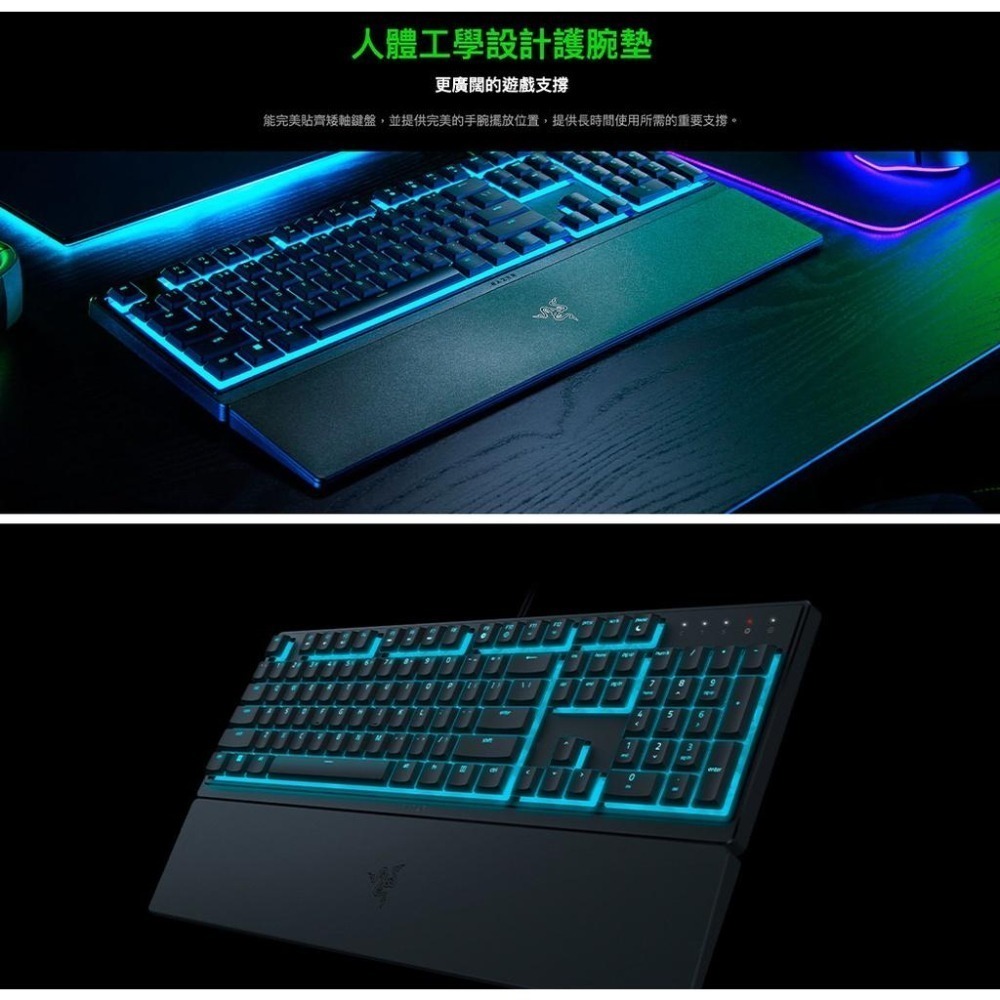 RAZER 雷蛇 ORNATA V3 X 雨林狼蛛 V3 X 靜音薄膜按鍵軸 電競中文鍵盤-細節圖5