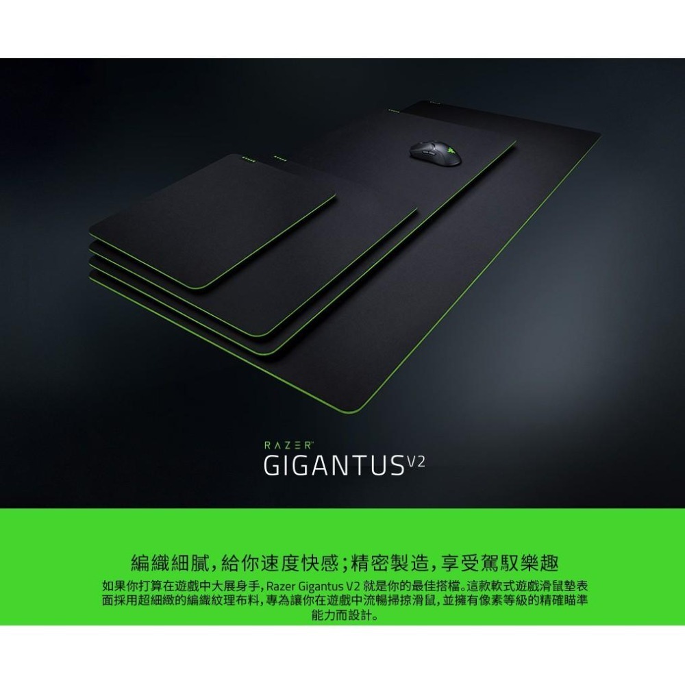 RAZER 雷蛇 Gigantus V2 巨甲蟲滑鼠墊 電競滑鼠墊 M尺寸-細節圖2