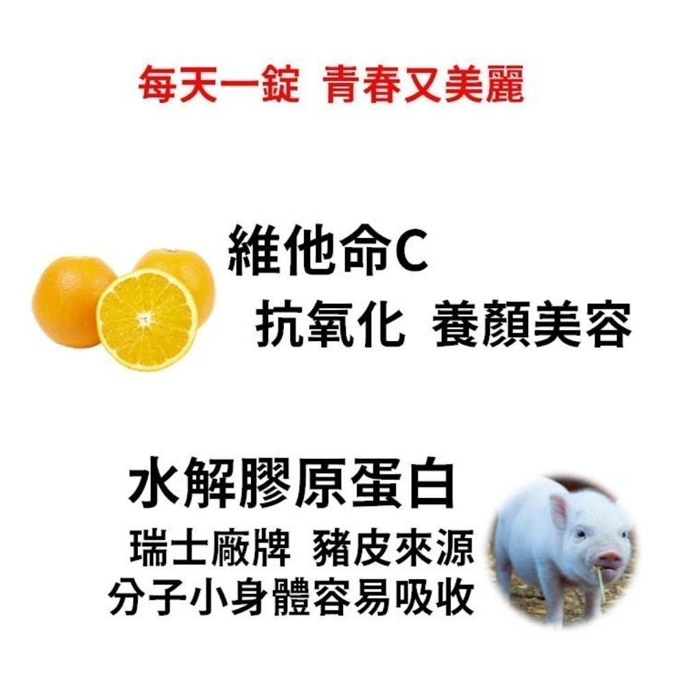 膠原維他命C1000發泡錠 10顆裝 維生素C 維生素B B群 鋅 綜合維他命 vitamin C-細節圖4