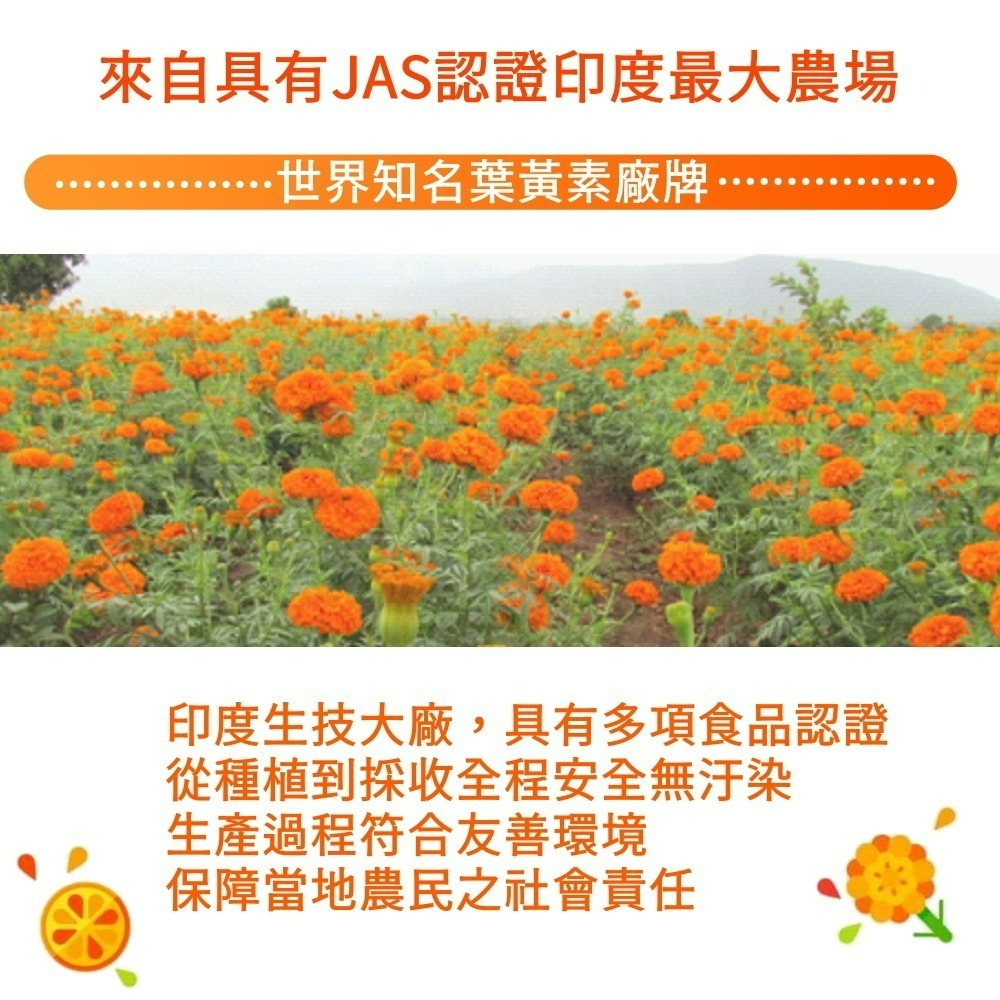 YT-Vita 葉黃素Q軟糖(30粒/包)-細節圖3