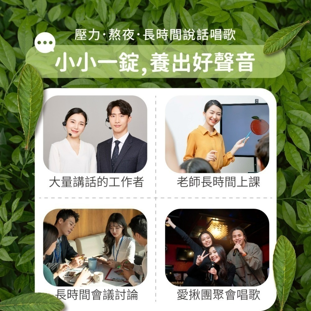 黃金樟芝-樟芝枇杷草本潤喉錠(30顆/包)-細節圖2