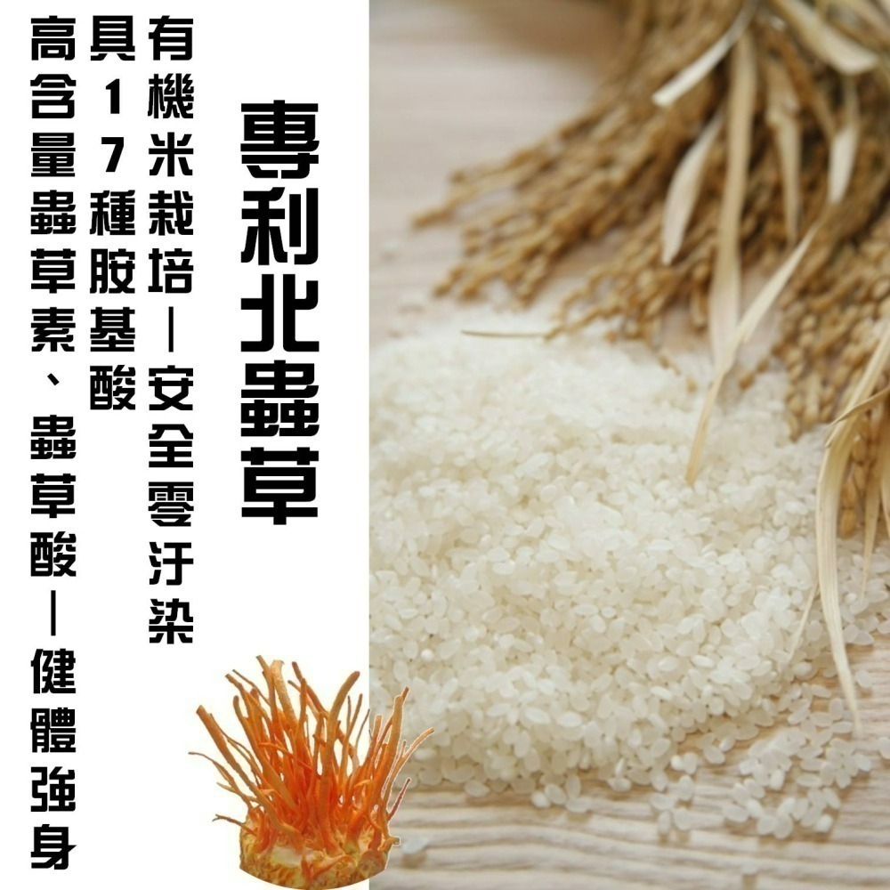YT-Vita 黑馬卡B群膠囊(30粒/包)-細節圖7