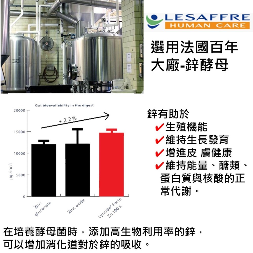 【專利深黑瑪卡】秘魯瑪卡 黑瑪卡 精氨酸 鋅酵母 酵母B群 馬卡 maca 雄性激素 男性保健-細節圖6