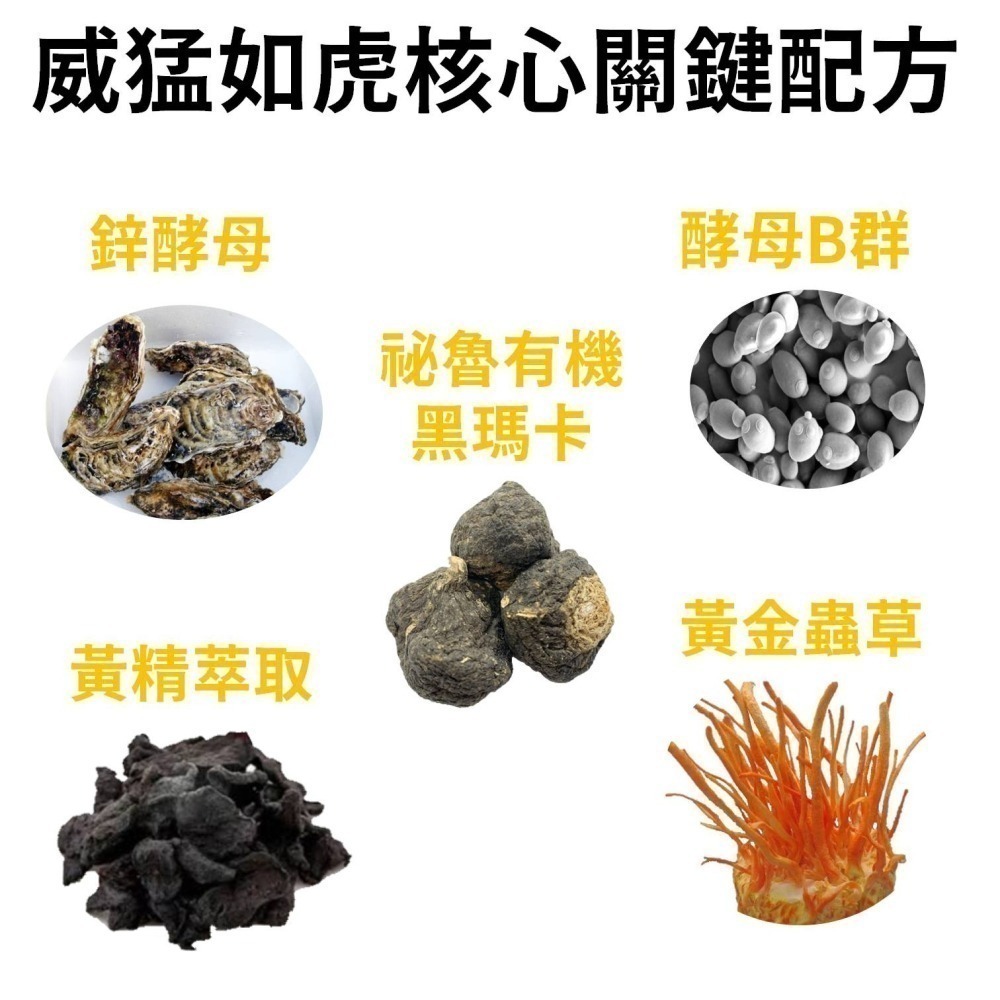 【專利深黑瑪卡】秘魯瑪卡 黑瑪卡 精氨酸 鋅酵母 酵母B群 馬卡 maca 雄性激素 男性保健-細節圖3