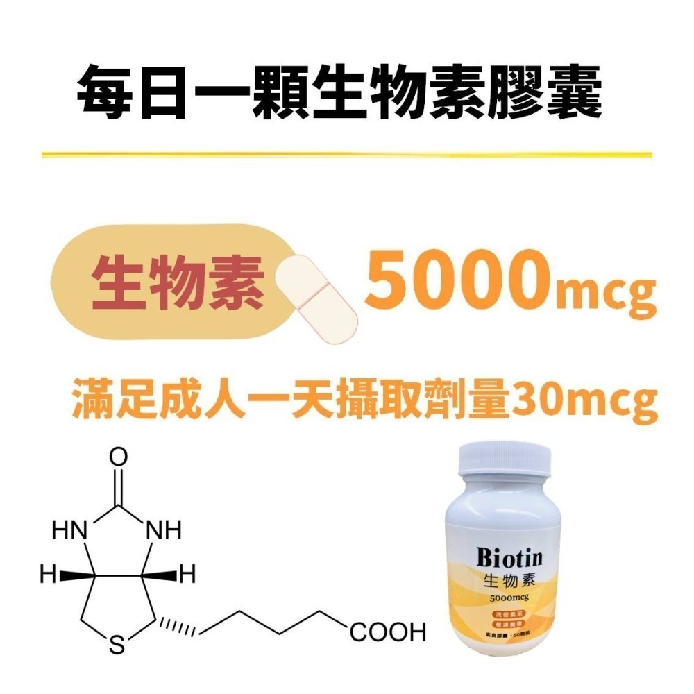 【YT-Vita永騰生技】生物素Biotin(60粒/瓶 維生素H/B7 5000mcg 養顏美容 茂密風采【神農嚴選】-細節圖4