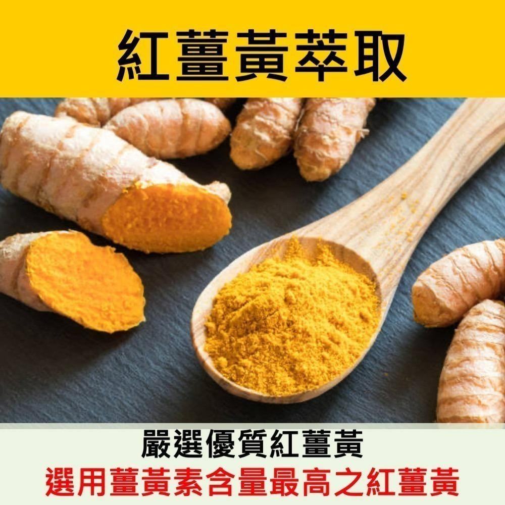 YT-Vita 紅薑黃樟芝+B群膠囊(30粒/包)-細節圖4