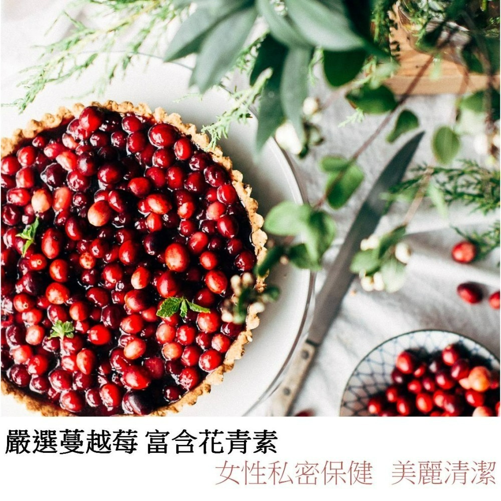 YT-Vita 蔓越莓酵素錠(30粒/包)-細節圖3