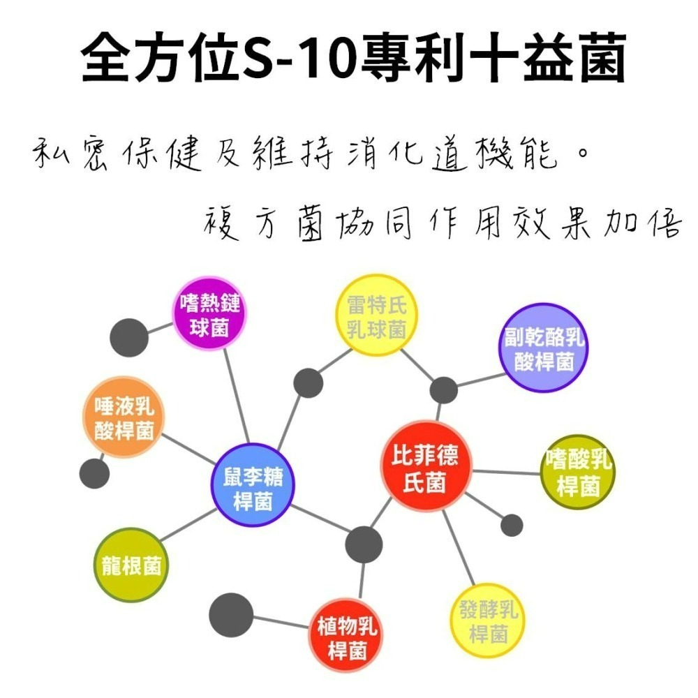 YT-Vita 蔓越莓酵素錠(30粒/包)-細節圖5
