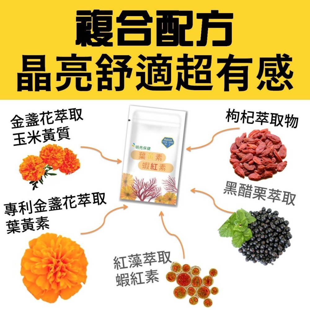 【蝦紅素+葉黃素】 玉米黃素 黑醋栗 游離型葉黃素 lutein 金盞葉黃素 花青素 藻紅素 維生素E 枸杞 30粒-細節圖3