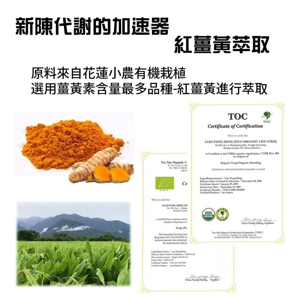 YT-Vita 薑黃綠茶膠囊(30粒/包)-細節圖2