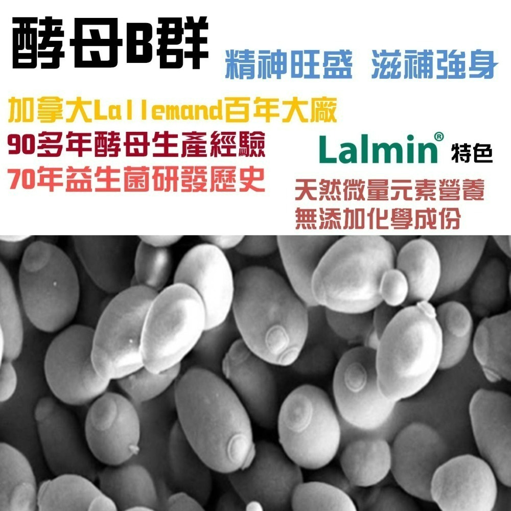 YT-Vita 女性B群+鐵膠囊(30粒/包)-細節圖5