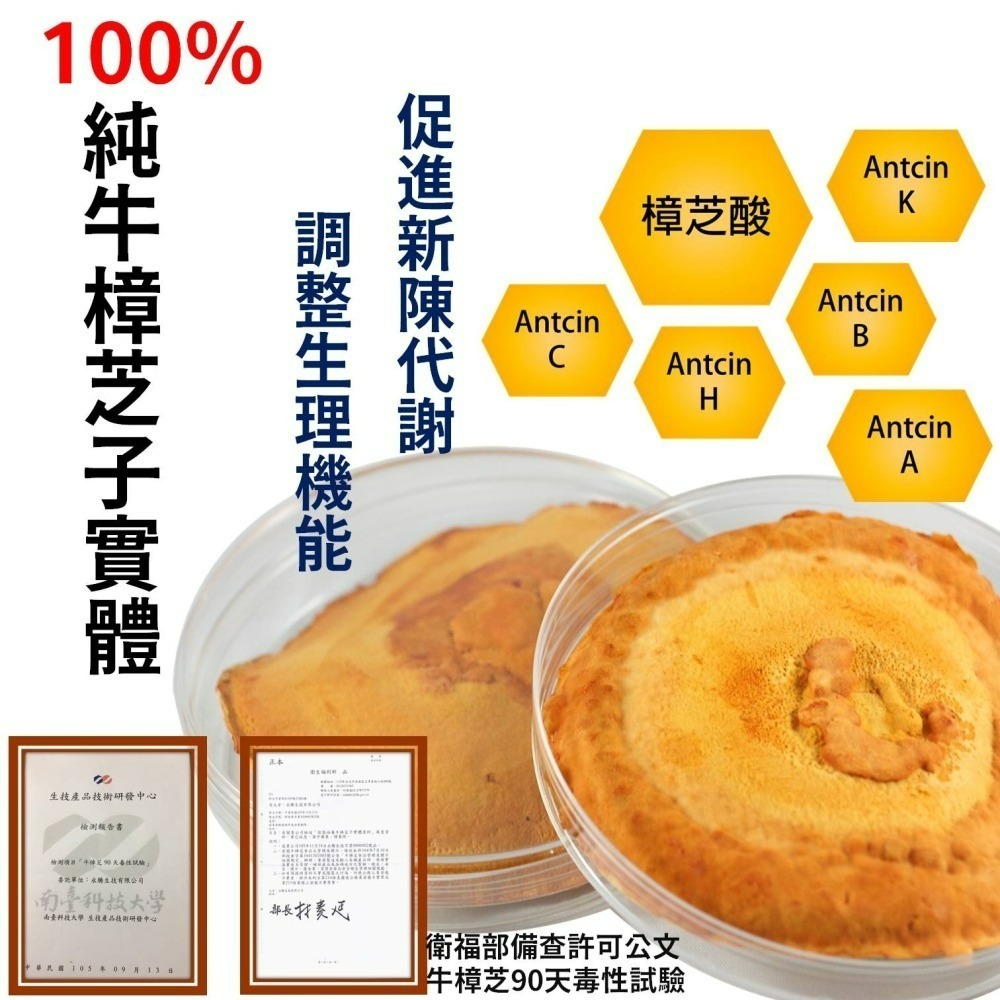 YT-Vita 女性B群+鐵膠囊(30粒/包)-細節圖6