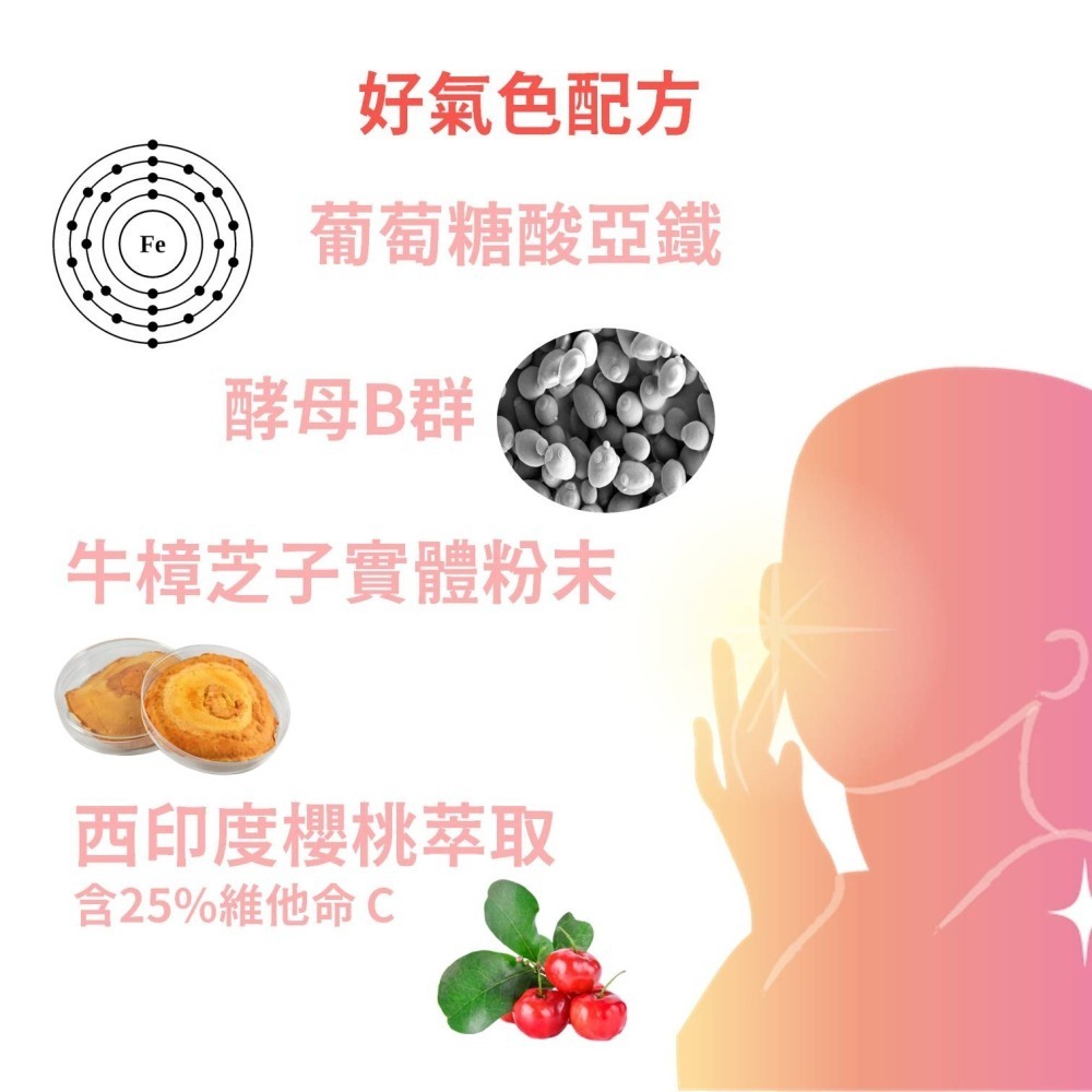 女性B群+鐵膠囊 B群 鐵 西印度櫻桃 維生素C 牛樟芝 具抗氧化 膠原蛋白 養顏美容 全素可食 30粒-細節圖3