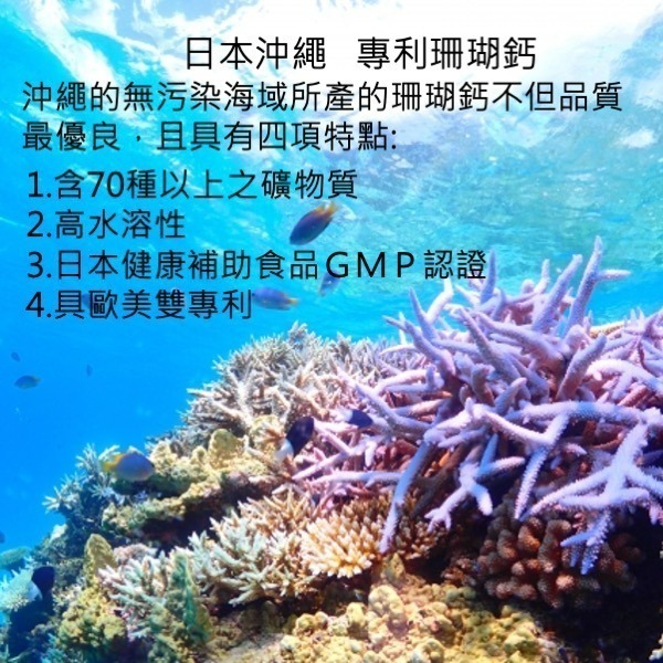 YT-Vita 關鍵挺力膠囊(30粒/盒)-細節圖6